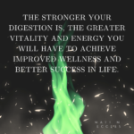 Why Stronger Digestion is Important For Your Life Quality?